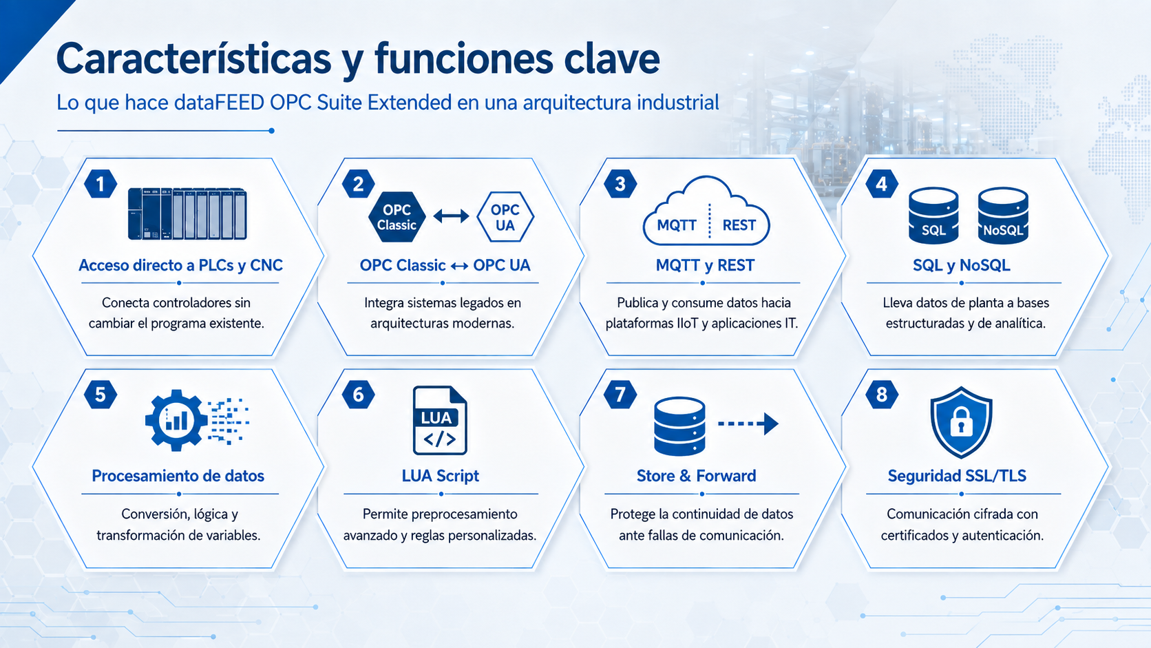 Descripción de la imagen